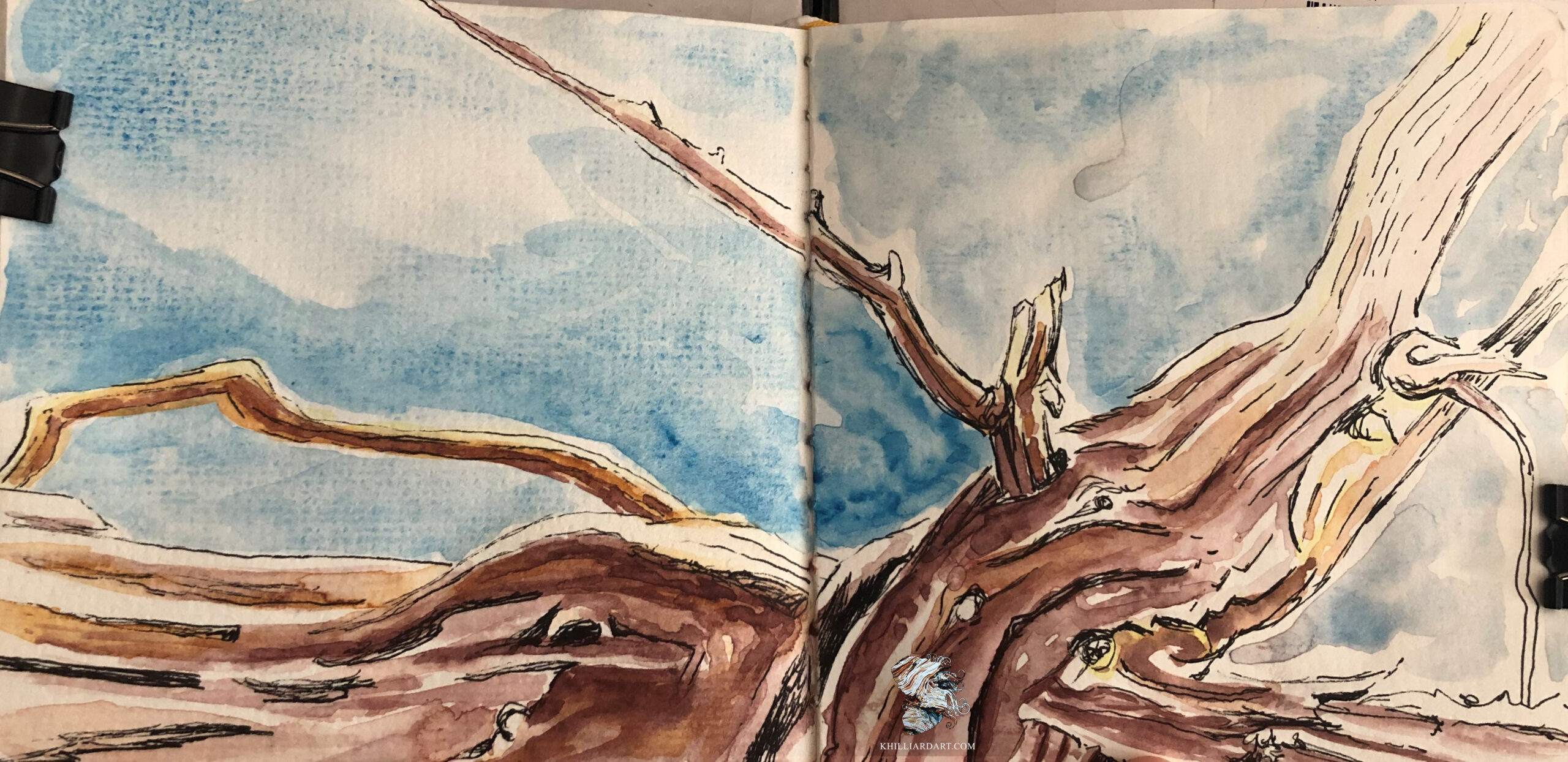Karen Hilliard Art Blog Sketches and Studies