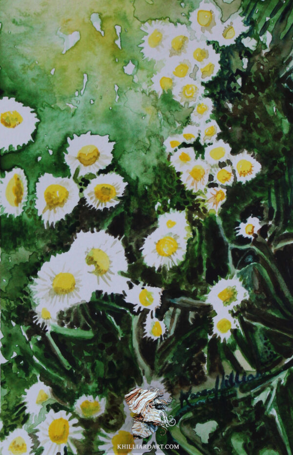 Daisy Commission Number 1 | Karen Hilliard Art | Original Watercolor