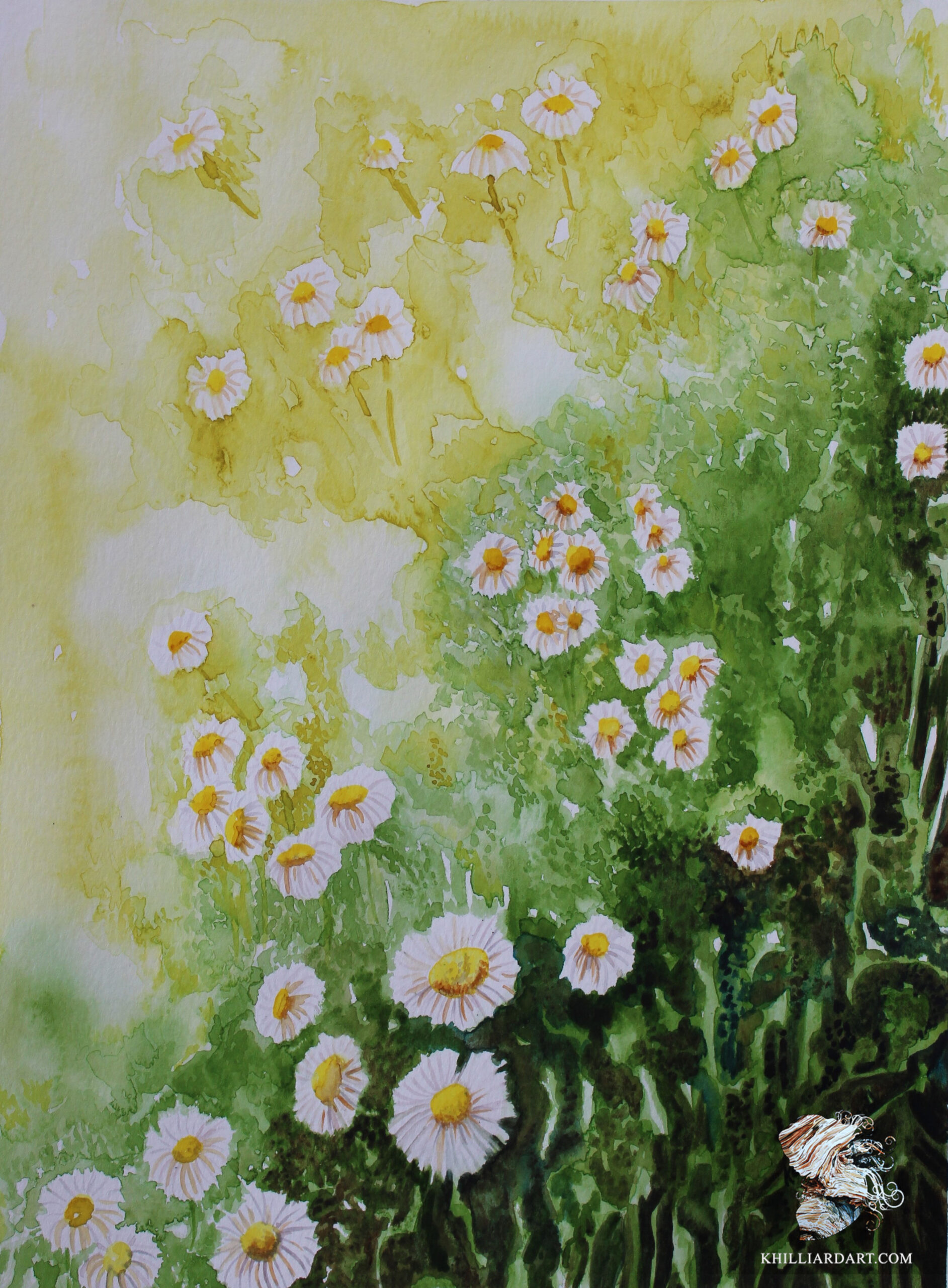 Daisy Way - Meadow | Karen Hilliard Art | Original Watercolor
