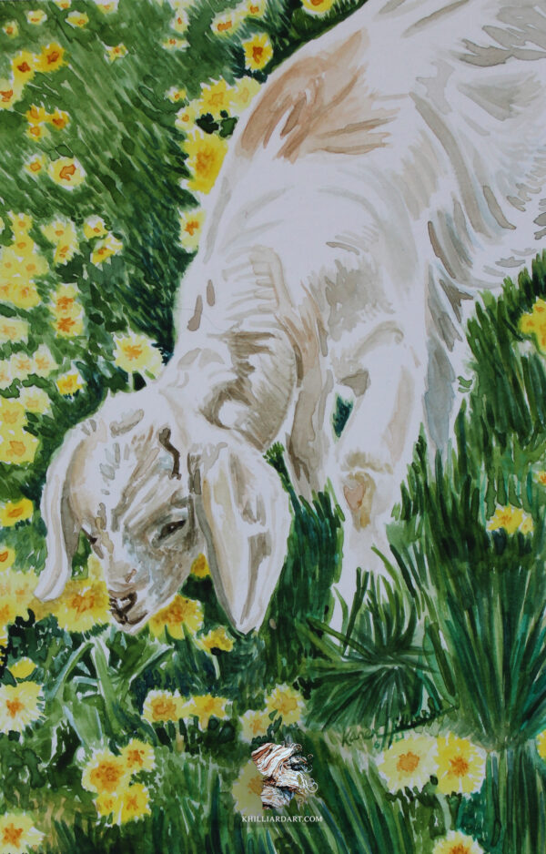 Goat and Dandelions