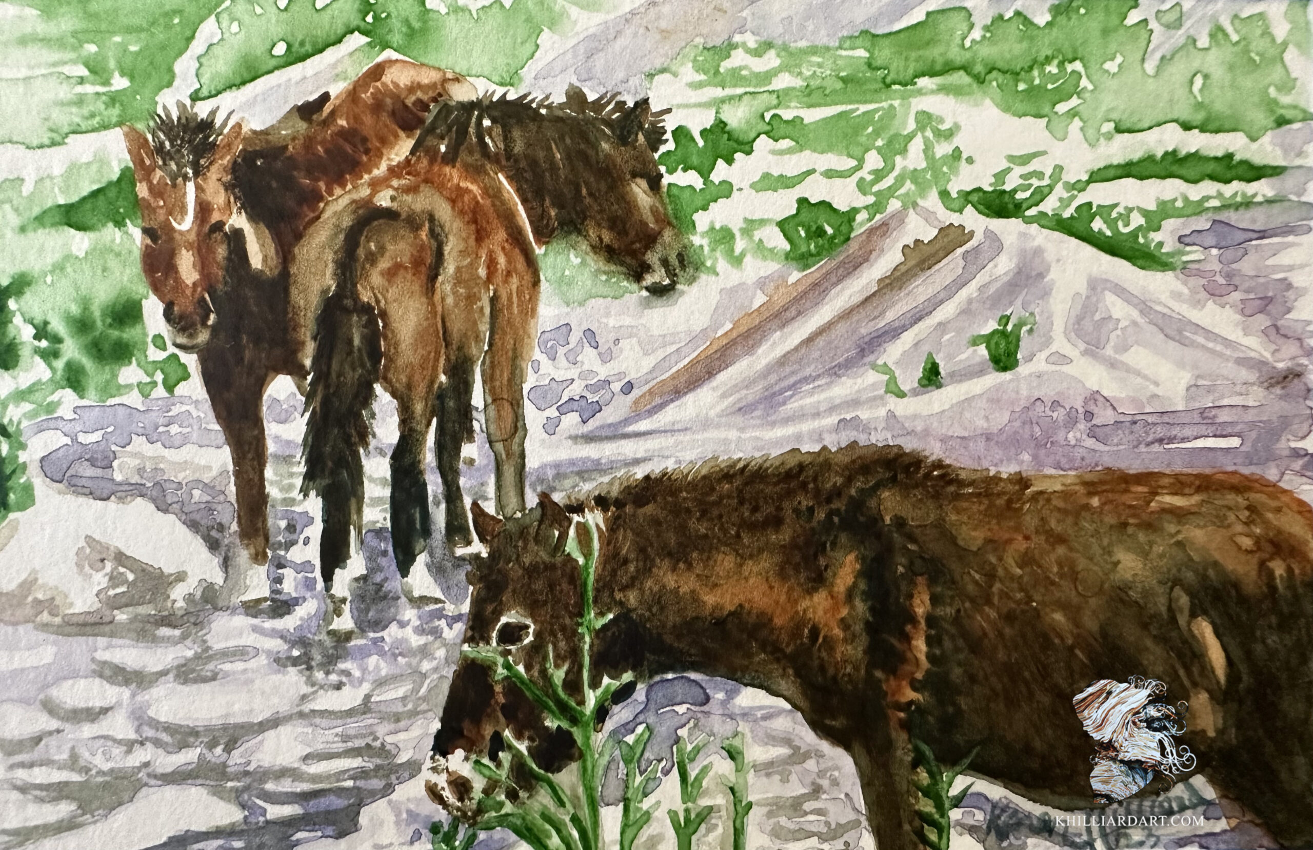 Inca Trail Series 1 Number 4 | Karen Hilliard Art Blog | Horses | Wild Horses | Peru | Inca Trail