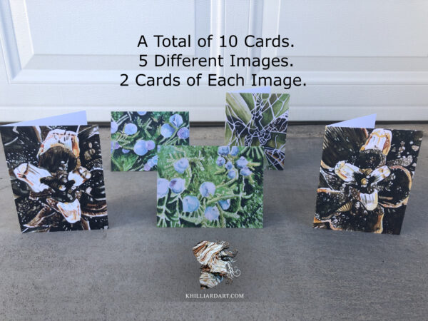 Red Rock Canyon Greeting Cards | Karen Hilliard Art | Juniper
