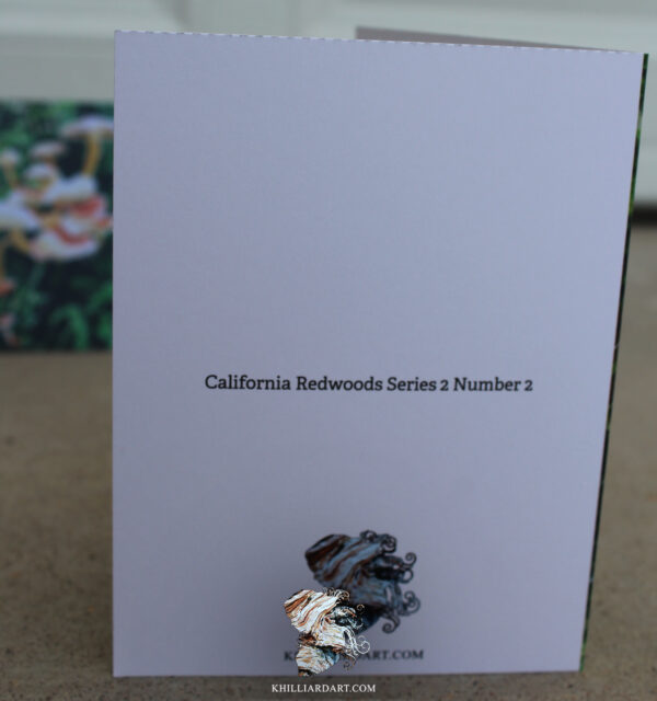 California Redwood Series Greetings Cards • Watercolor Painting • Karen Hilliard Art