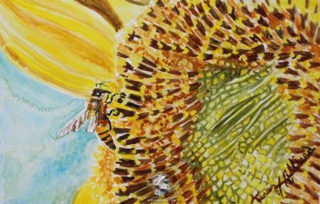 Sunflower Series 1 Number 6 • Watercolor Tiny Painting • Karen Hilliard Art • 4 x 6