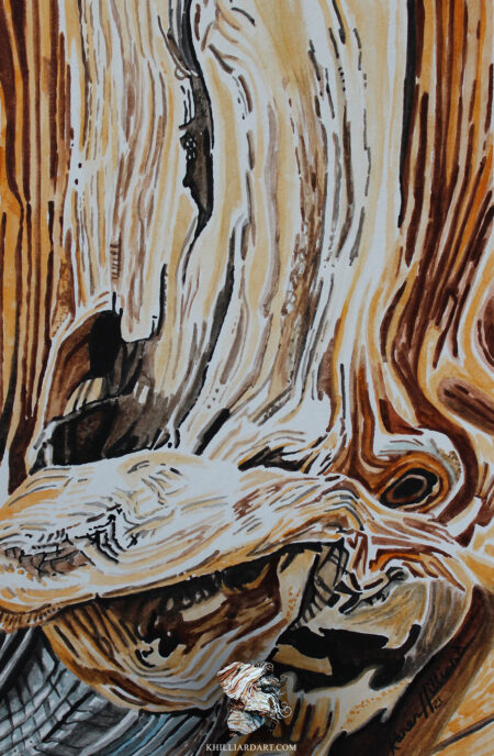 Bristlecone Pine Series 1 #3 • Nature Watercolor Painting • Karen Hilliard Art