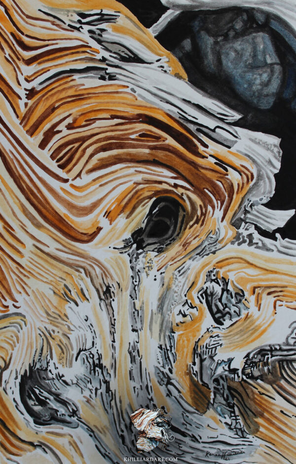 Bristlecone Pine Series 1 #4 • Nature Watercolor Painting • Karen Hilliard Art