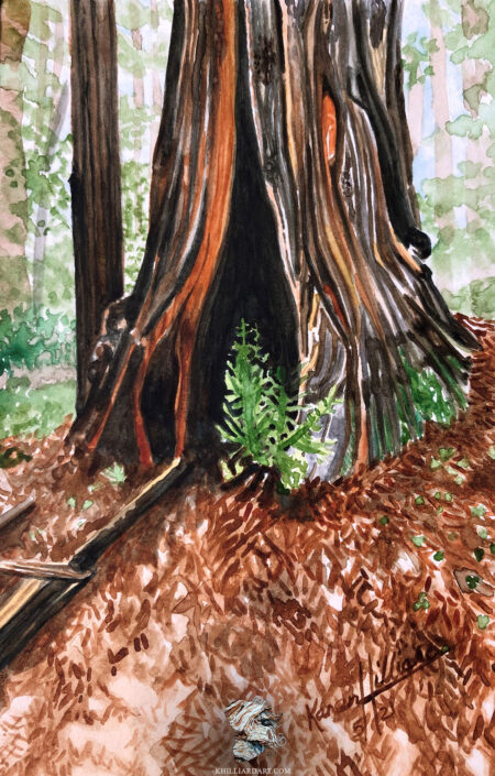 California Redwood Series 1 #5 • Nature Watercolor Painting • Karen Hilliard Art