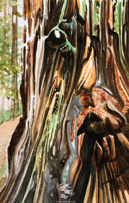 California Redwood Series 1 #6 • Nature Watercolor Painting • Karen Hilliard Art