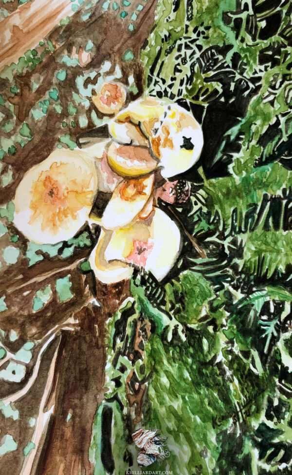 California Redwood Series 1 #8 • Nature Watercolor Painting • Karen Hilliard Art
