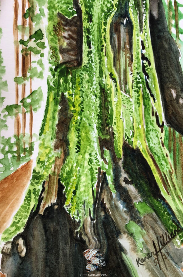 California Redwood Series 1 #1 • Nature Watercolor Painting • Karen Hilliard Art